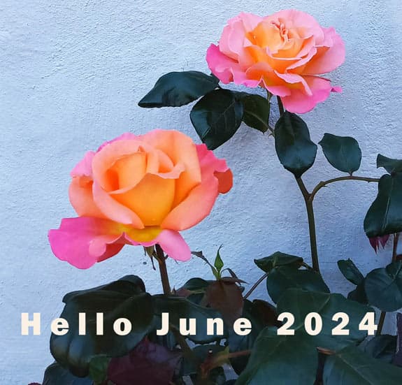 Looking Forward to Seeing You π 1 Hello June graphic